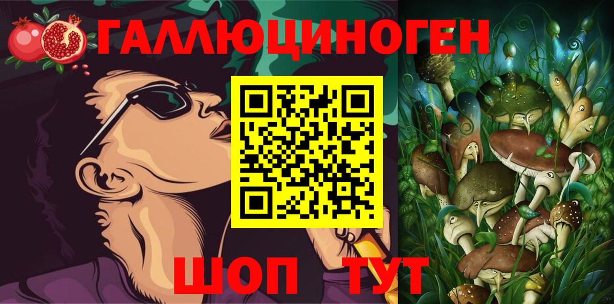 Галлюциногенные грибы Psilocybe Среднеуральск